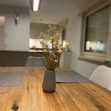 Ansana Apartment Lenz