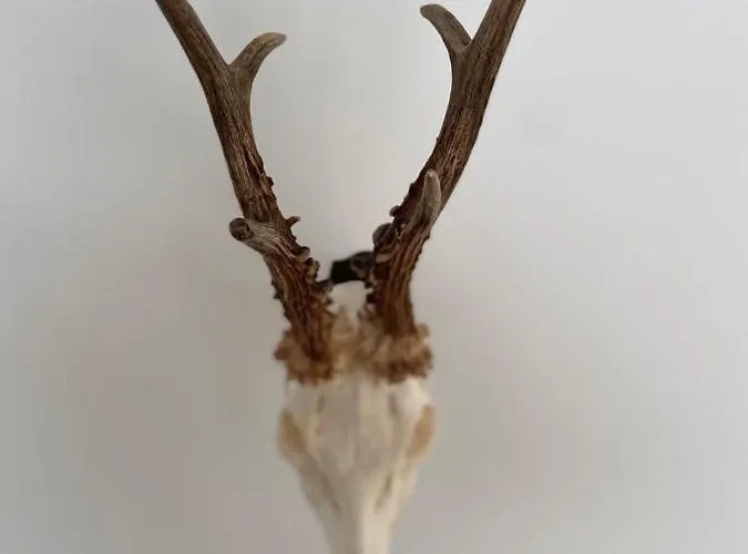 Ansàna Appartement *